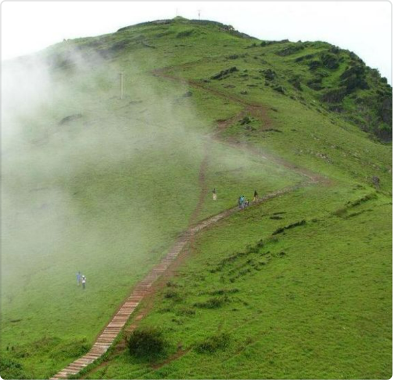 a group of people walking up a hill with stairs